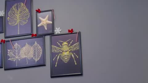 Snapshot of katewalker_ chatting on December 17, 12:23 am Kate online show from December 17, 12:23 am