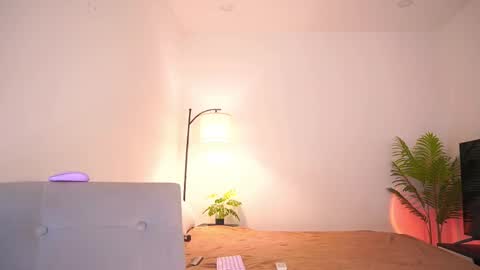 Follow me on instagram and twitter as correaktnees online show from December 1, 7:02 am