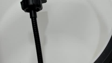 katy blonde girl and paola big boobs online show from September 26, 7:29 pm