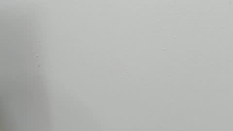 katy blonde girl and paola big boobs online show from October 28, 7:49 pm