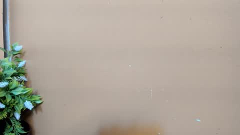 keisy_sanchez online show from February 1, 11:09 am