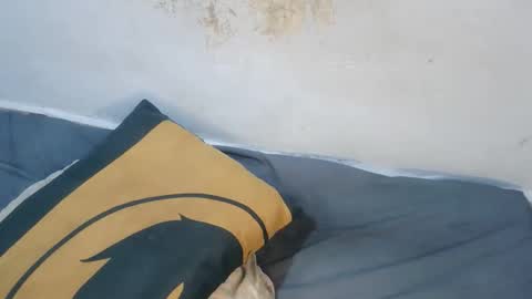 kem2000400282 online show from December 20, 1:51 pm