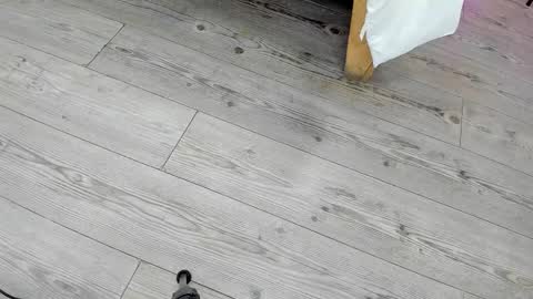 Snapshot of kendra_london chatting on February 24, 11:19 am Kendra London online show from February 24, 11:19 am