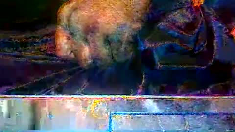 Snapshot of kendreko049 chatting on March 14, 9:37 am KENDREKO online show from March 14, 9:37 am