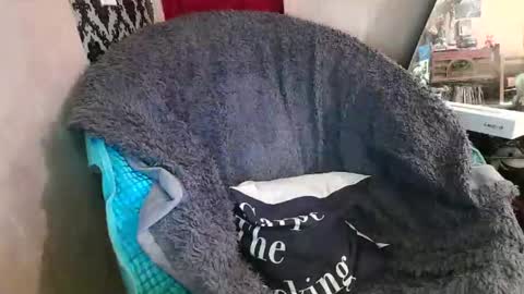 Snapshot of kennedynova777 chatting on December 20, 9:22 pm Kennedy Nova online show from December 20, 9:22 pm