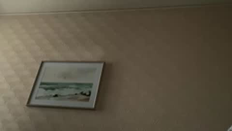 khelt online show from February 6, 1:47 pm