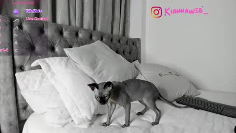 INSTAGRAM Kiannaweb  online show from February 28, 3:48 am