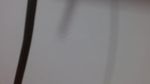 Snapshot of kiitty_horny_ chatting on October 3, 12:02 pm Melody online show from October 3, 12:02 pm