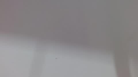 Snapshot of kiitty_horny_ chatting on October 11, 12:04 pm Melody online show from October 11, 12:04 pm