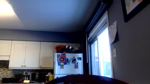 killbloodclotbill online show from February 1, 6:06 pm