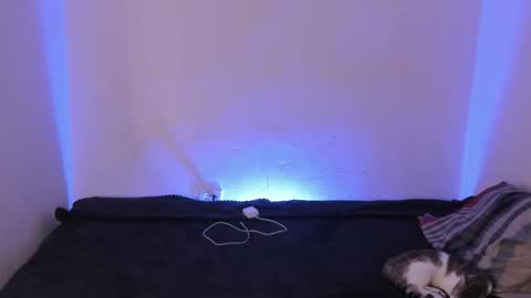 Kim online show from December 16, 9:47 am