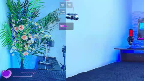    online show from November 16, 1:33 am