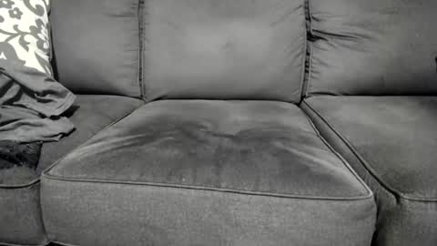 Kinky online show from September 9, 8:25 am