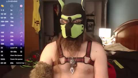 kinkywolf87 online show from April 5, 5:43 pm