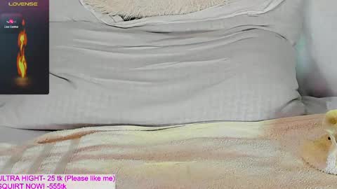 Kitty online show from May 11, 2:45 pm