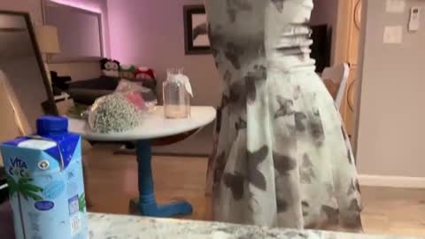 kittypurr79 online show from September 30, 3:11 am