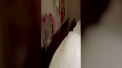 Kitty  Sophie    online show from June 24, 2:54 am