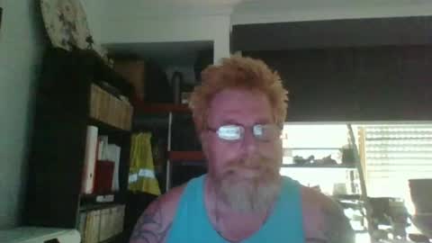 Snapshot of kiwi_boss61 chatting on February 10, 4:19 am kiwi_boss61 online show from February 10, 4:19 am