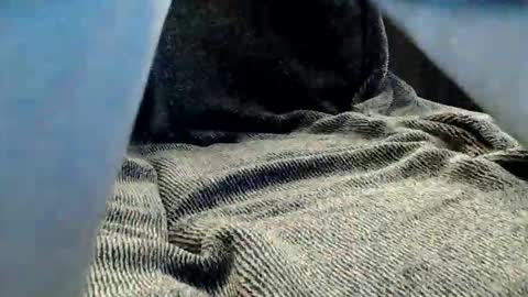 kiwibulge123 online show from May 25, 7:36 am