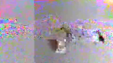 kjaimejimmy online show from November 8, 8:47 am