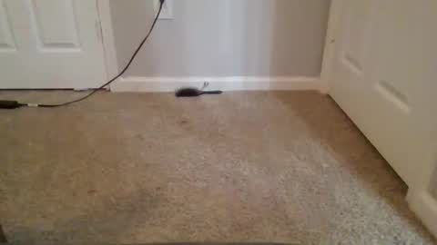 Snapshot of kkristy07 chatting on February 21, 2:56 am kkristy07 online show from February 21, 2:56 am