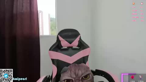 Snapshot of kmipearl chatting on January 10, 2:52 pm Camila Reyes online show from January 10, 2:52 pm