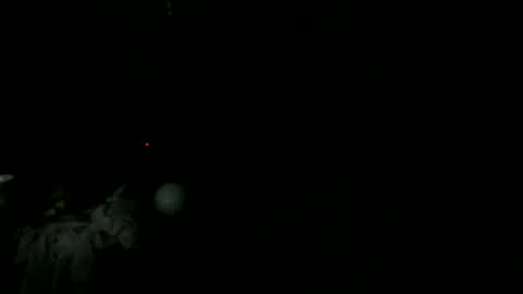 knight_rider118 online show from March 11, 9:24 am