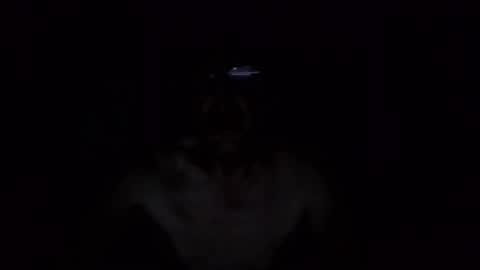 Snapshot of kobolt67 chatting on October 9, 4:54 am kobolt67 online show from October 9, 4:54 am