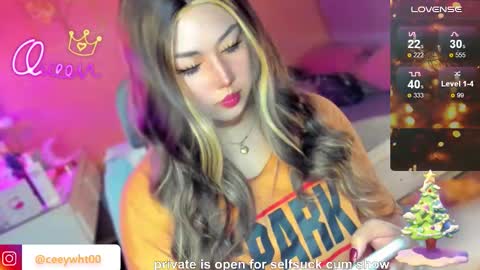 Snapshot of koreandollts chatting on December 16, 3:00 am MISS ALICIA online show from December 16, 3:00 am