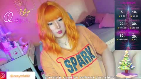 Snapshot of koreandollts chatting on December 17, 12:00 pm MISS ALICIA online show from December 17, 12:00 pm