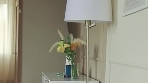 Kristi online show from September 13, 5:18 am