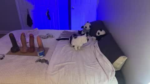 Snapshot of kristinsnowbunny chatting on September 17, 4:47 am Kristin Snow online show from September 17, 4:47 am