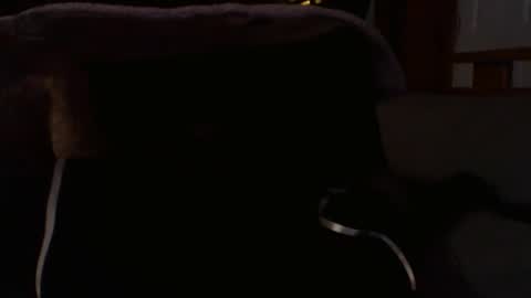 Snapshot of kshies4220 chatting on January 9, 5:32 am kshies4220 online show from January 9, 5:32 am