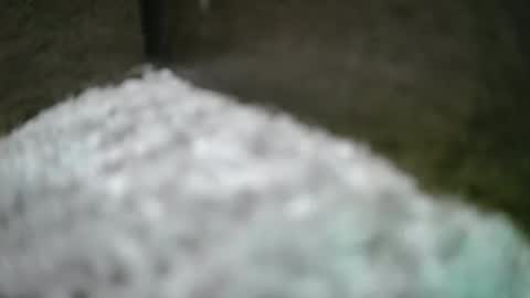 kvicali online show from April 6, 1:36 am