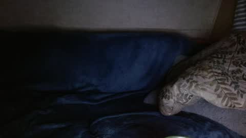 Snapshot of kylechat chatting on April 4, 6:33 am Kyle chat online show from April 4, 6:33 am