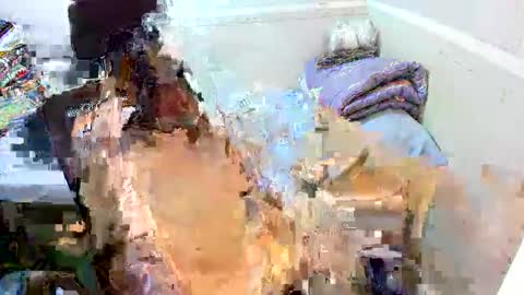 Eynah online show from September 11, 4:56 am