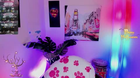 Kyomi online show from November 18, 1:26 pm