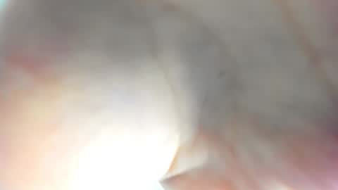 Ameli online show from November 15, 8:00 am