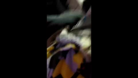 Snapshot of labran817 chatting on April 11, 11:47 am labran817 online show from April 11, 11:47 am