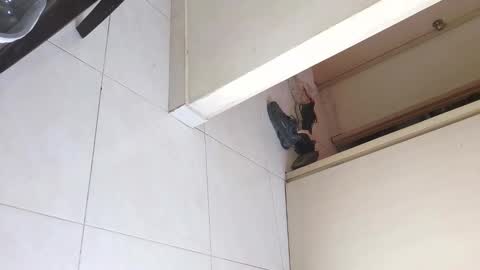 Bruno Smith online show from December 20, 6:04 pm