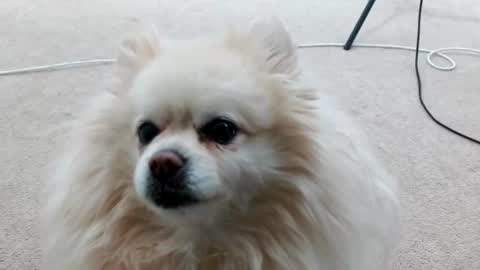 Snapshot of laceyphoenix1 chatting on March 4, 3:11 am Lacey Phoenix online show from March 4, 3:11 am