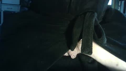 lacharcute online show from February 7, 10:41 am