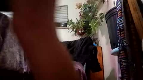 lacybell online show from December 23, 7:06 am