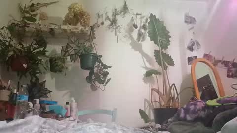 lacybell online show from December 24, 6:44 am