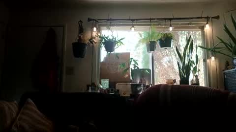 lacybell online show from September 21, 10:11 pm