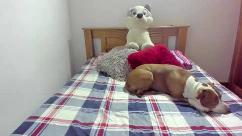 Akyra  online show from October 21, 11:55 am