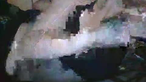 lady24x online show from April 29, 2:48 am