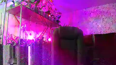 Snapshot of lady_gloria chatting on February 15, 12:54 pm Lady Gloria online show from February 15, 12:54 pm