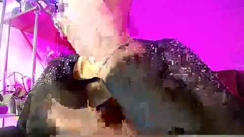 Snapshot of lady_gloria chatting on February 16, 4:53 am Lady Gloria online show from February 16, 4:53 am