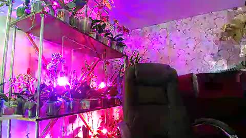 Snapshot of lady_gloria chatting on February 22, 8:40 am Lady Gloria online show from February 22, 8:40 am